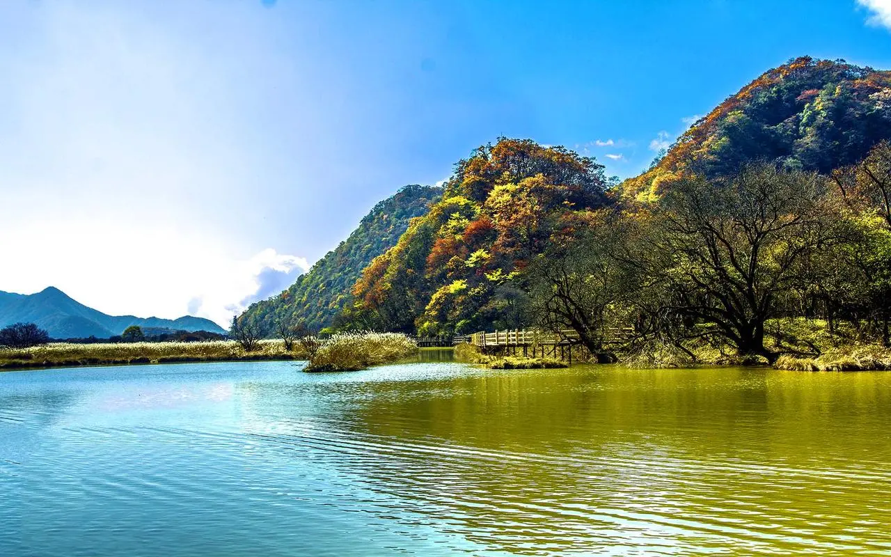 高性能智能智能
